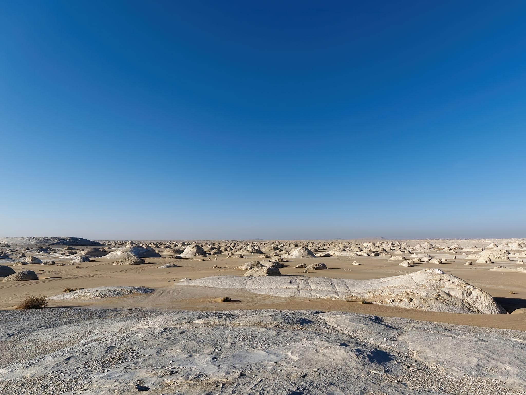 Farafra Oasis: Gateway to the White Desert