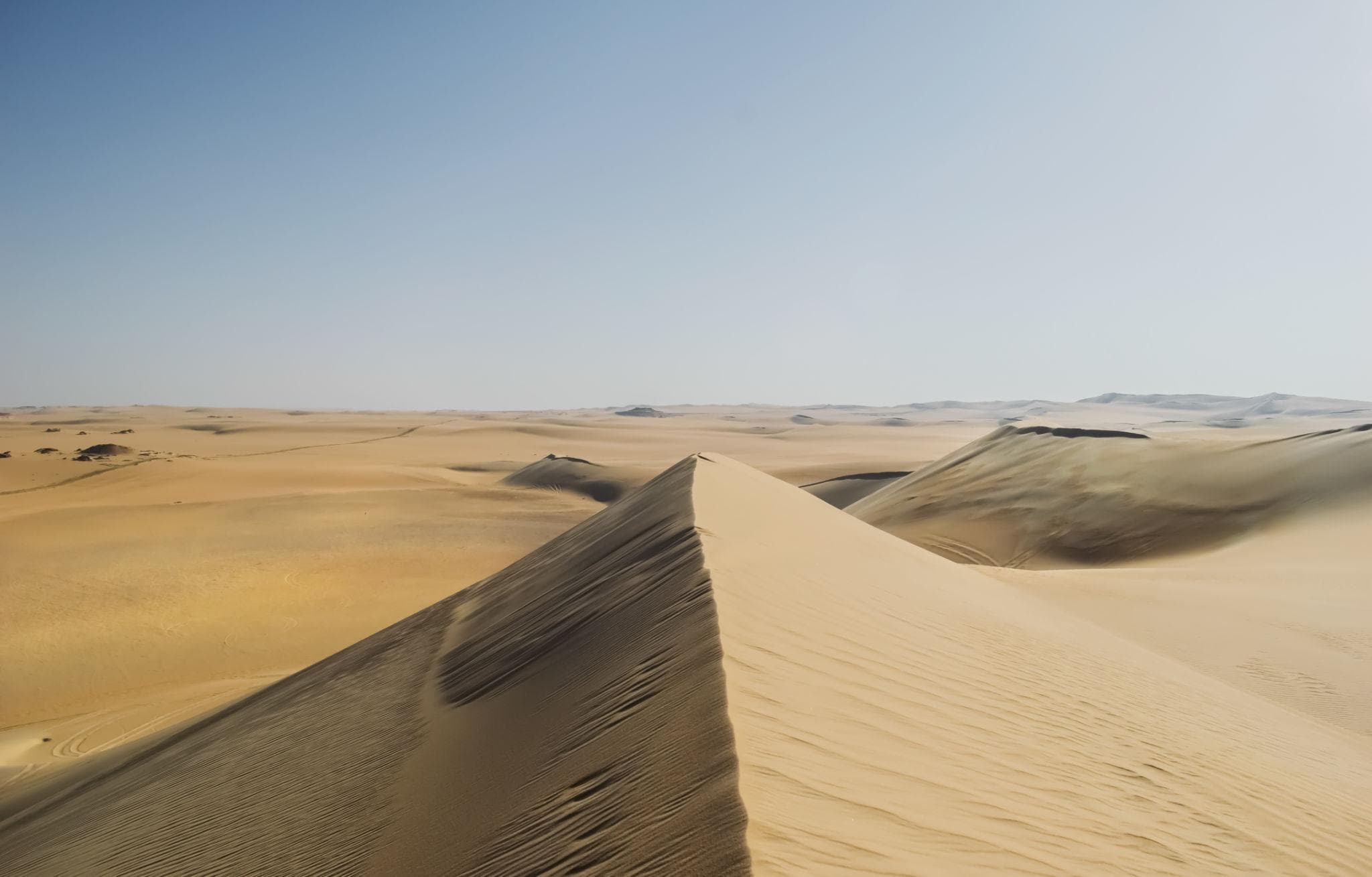 Great Sand Sea Safari from Siwa