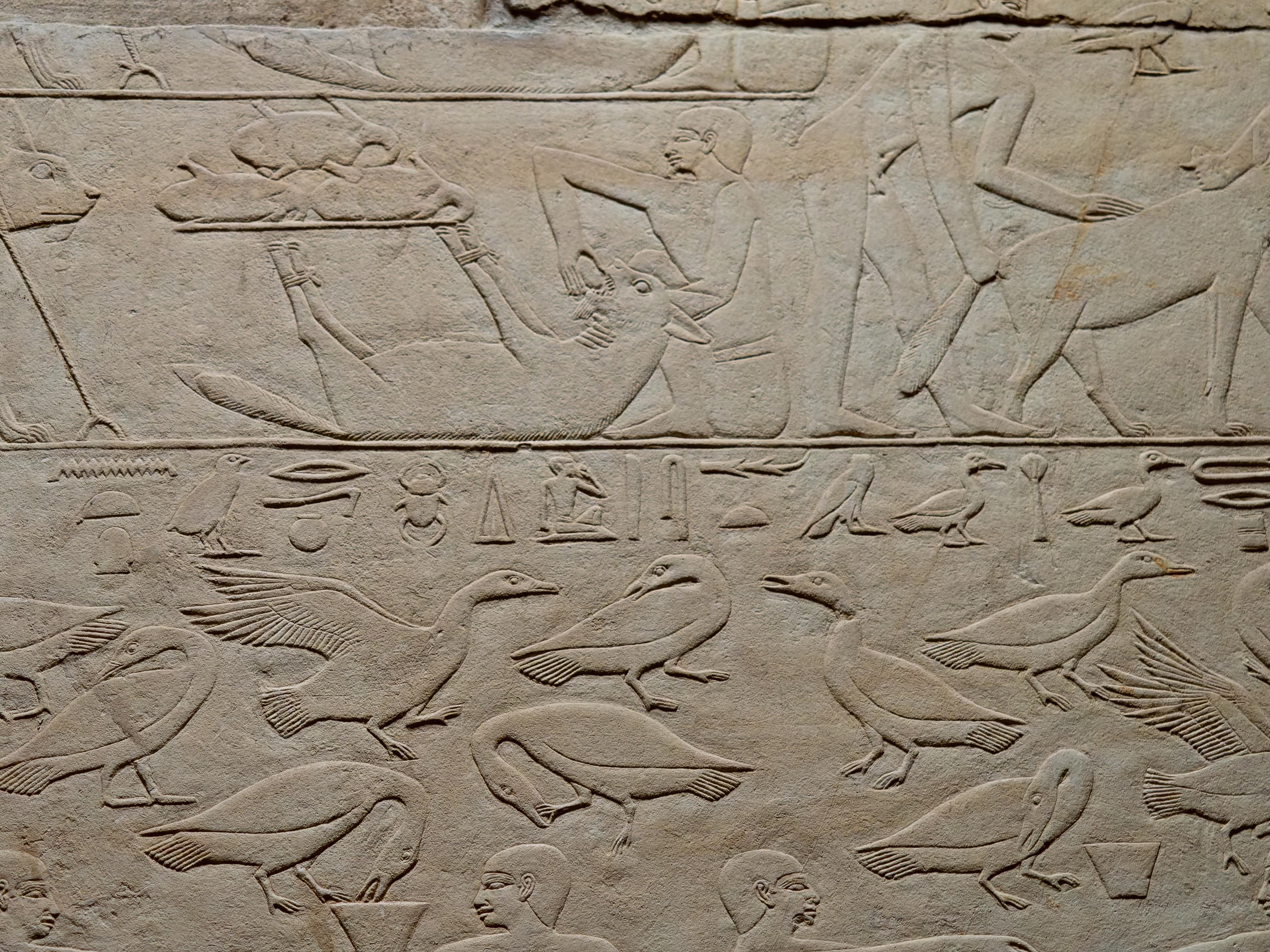 Saqqara and the Step Pyramid of Djoser: Where Pyramids Began