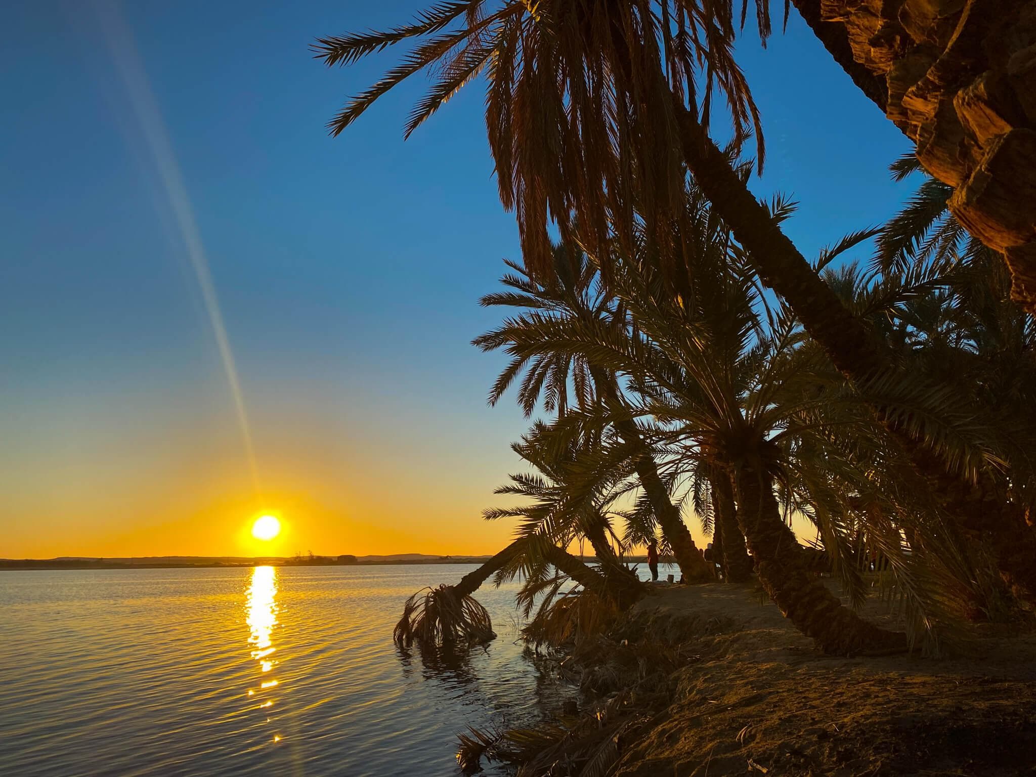جزيرة فطناس (جزيرة الخيال)