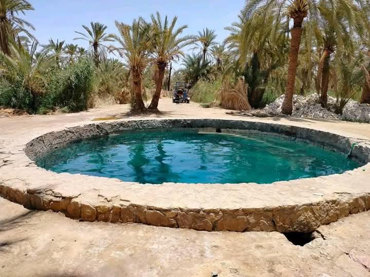 A circular turquoise natural spring pool surrounded by stone walls and palm trees in Siwa Oasis