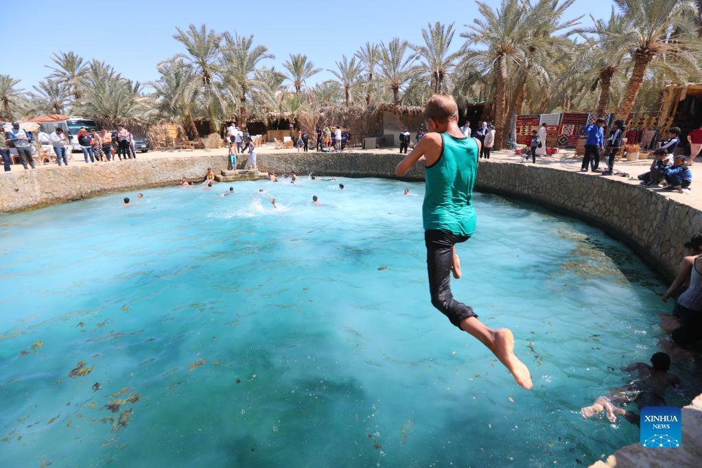 A boy in a green shirt leaps into a turquoise natural spring pool surrounded by palm trees.