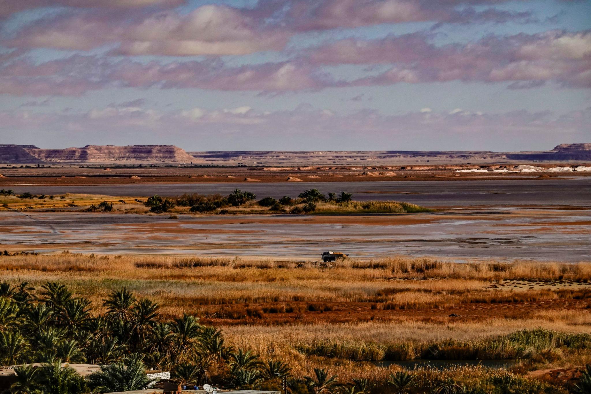 Vast Siwa salt flats with palm groves, golden grass, and flat-topped mesas on the horizon