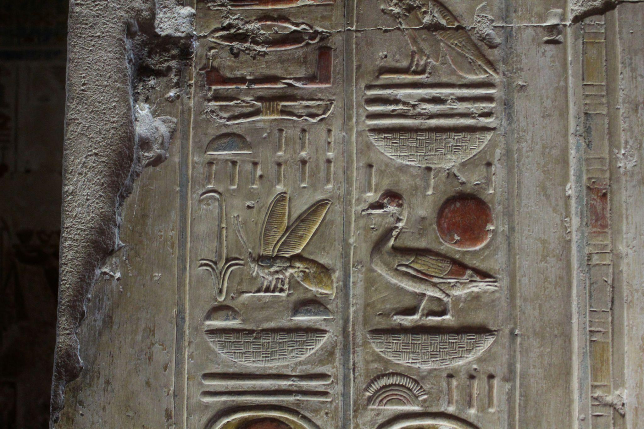 Traces of original paint on bee and bird hieroglyphs at Abydos Temple.