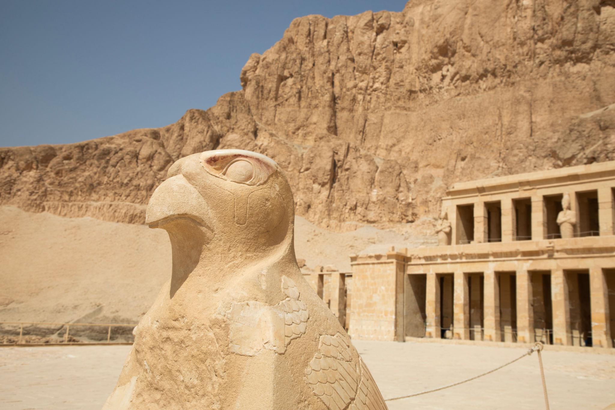 Horus falcon statue with full Hatshepsut Temple colonnade and cliffs in background