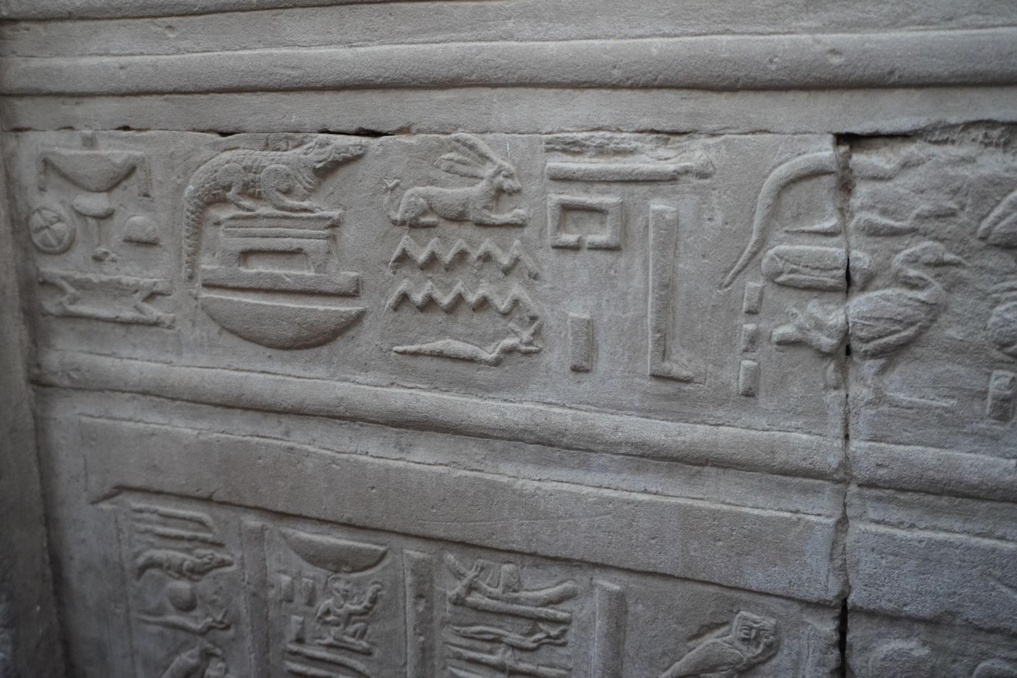 Close-up of hieroglyphic carvings with crocodile and animal symbols on temple wall.