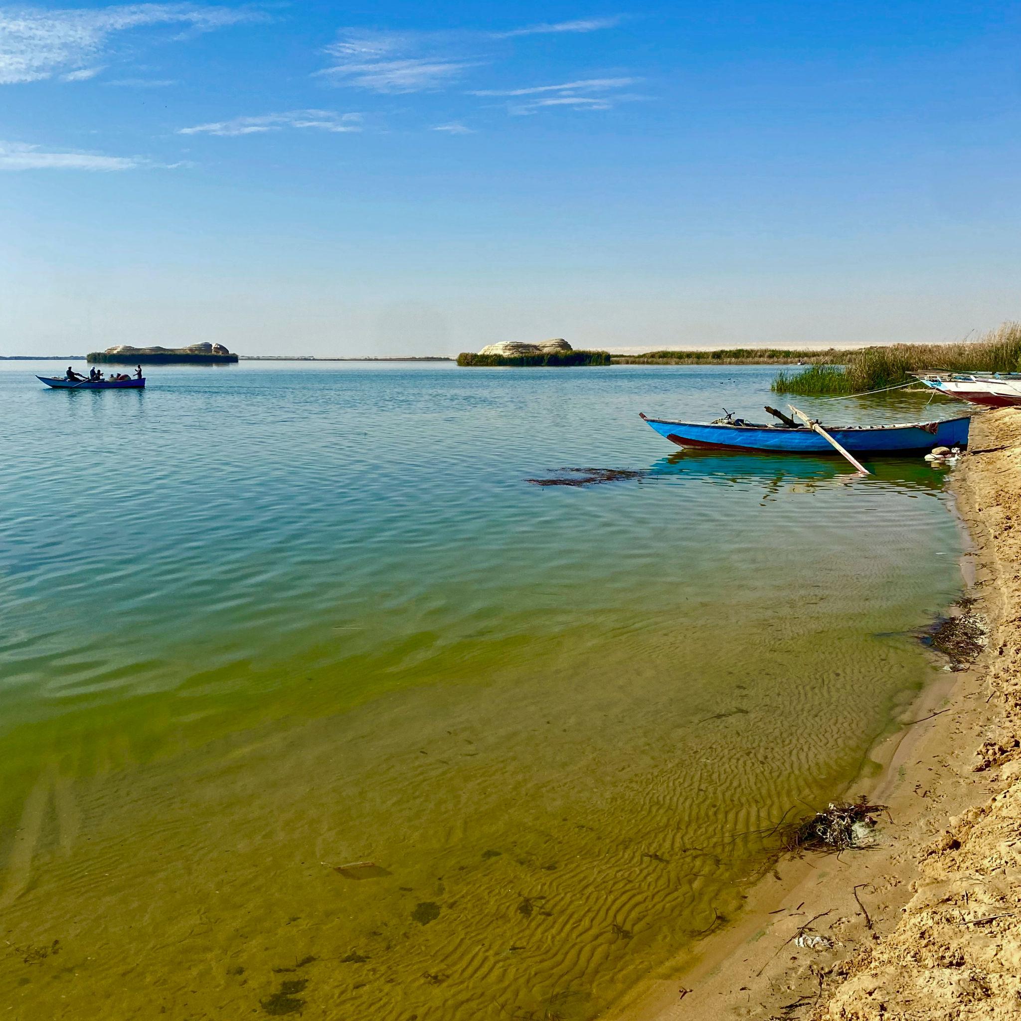 Wooden fishing boats resting on the sandy shore of Lake Qarun with reed islets beyond