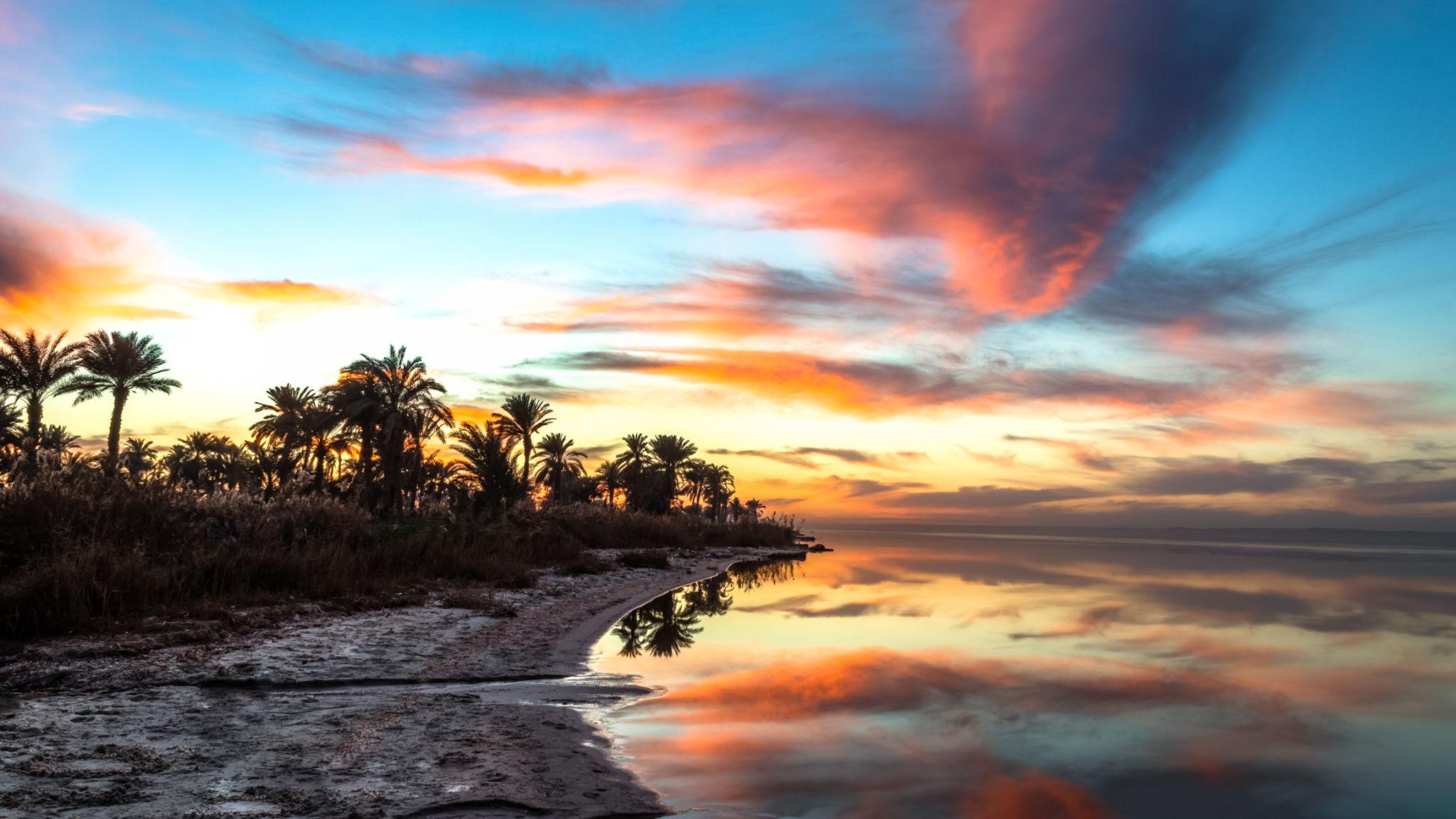 Vivid pink and blue twilight sky over Lake Qarun with palm grove and mirror reflections