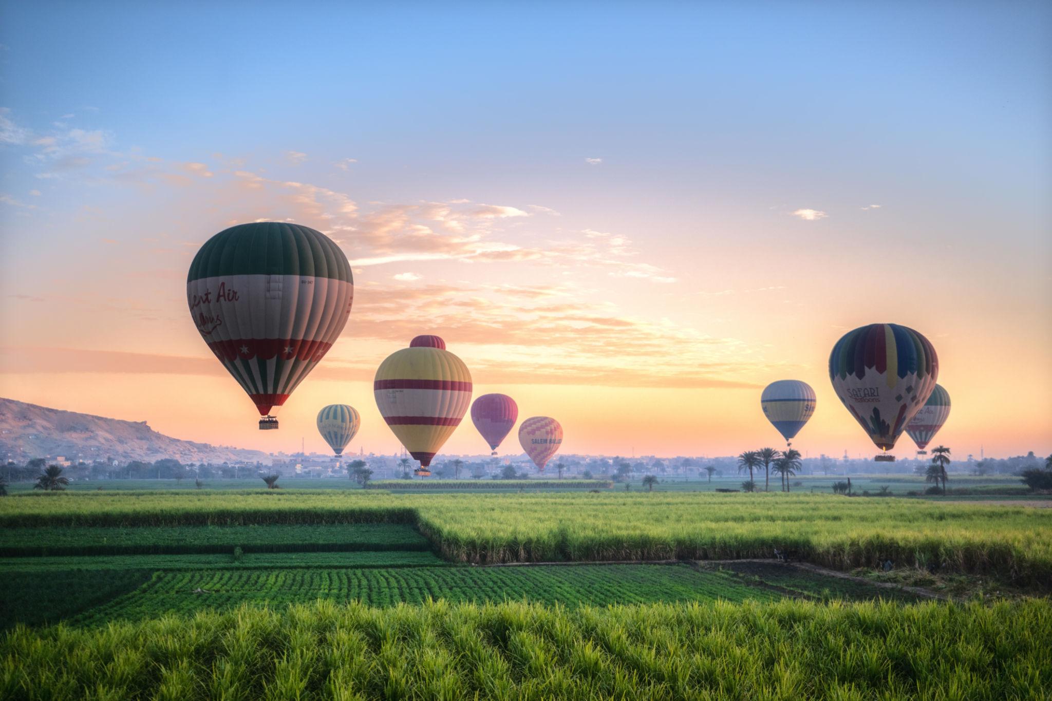 Fleet of hot air balloons rising above lush green Luxor farmland at dawn