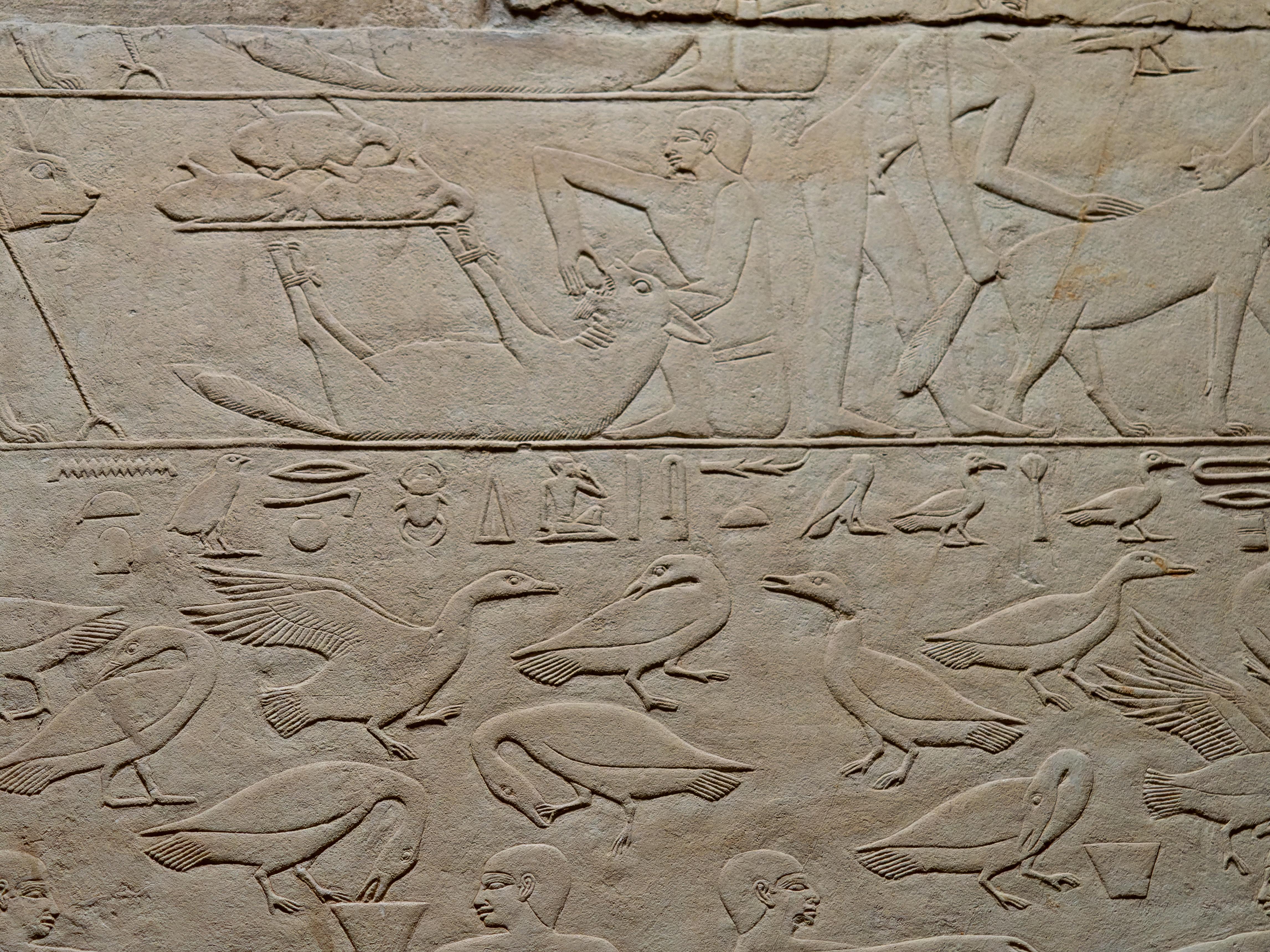 Detailed Egyptian stone relief showing geese, hieroglyphs, and human figures in two registers