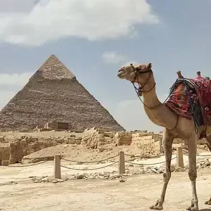 ahramat_aljyzt_afc3eae726