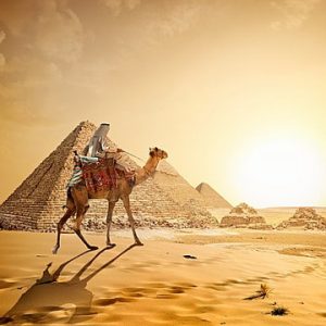 camel2
