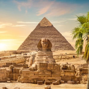 giza-pyramids-cairo-egypt-with-palm