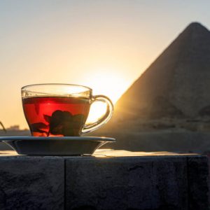 shutterstock_1999545794-1-800x534
