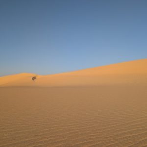 PXL_20250316_152342062